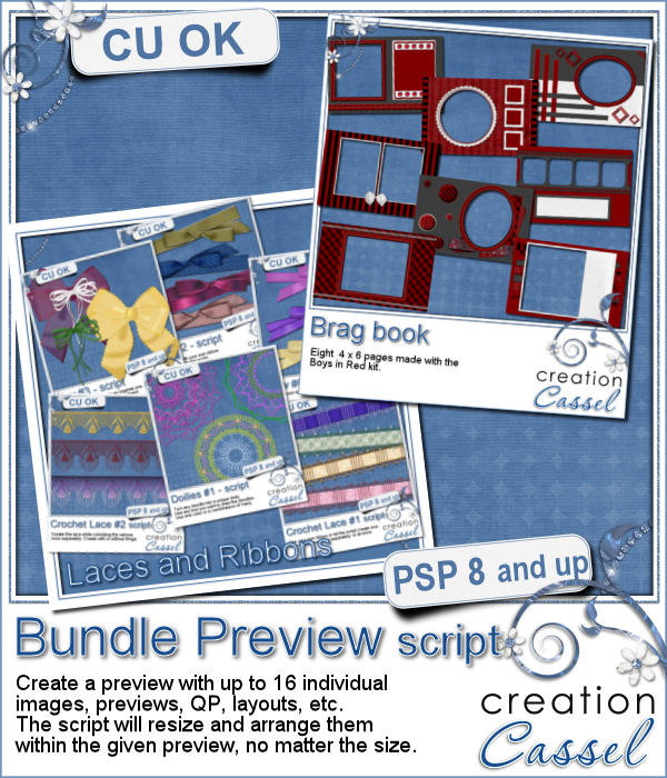 Bundle Preview - PSP script - Click Image to Close