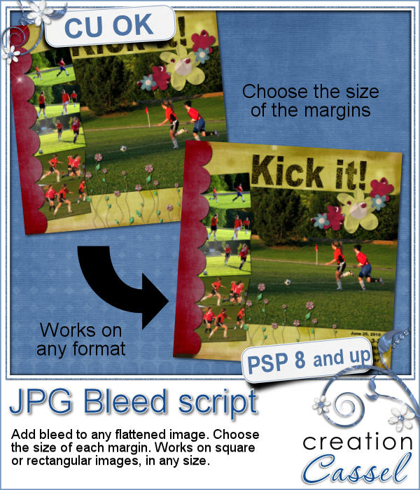 Marge excédentaire pour JPG - Script PSP - Cliquez sur l'image pour la fermer