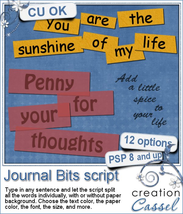 Journal Bits - PSP script
