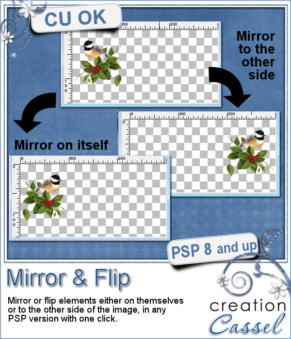 Miroir et Renversement - Scripts PSP - Cliquez sur l'image pour la fermer