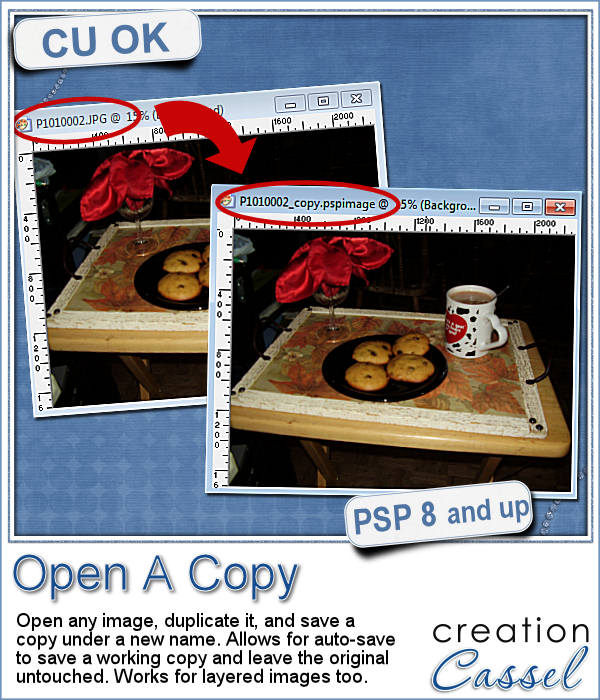 Open A Copy - PSP Script - Click Image to Close