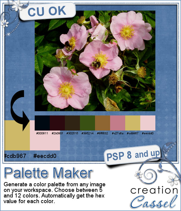Créateur de Palette - Script PSP