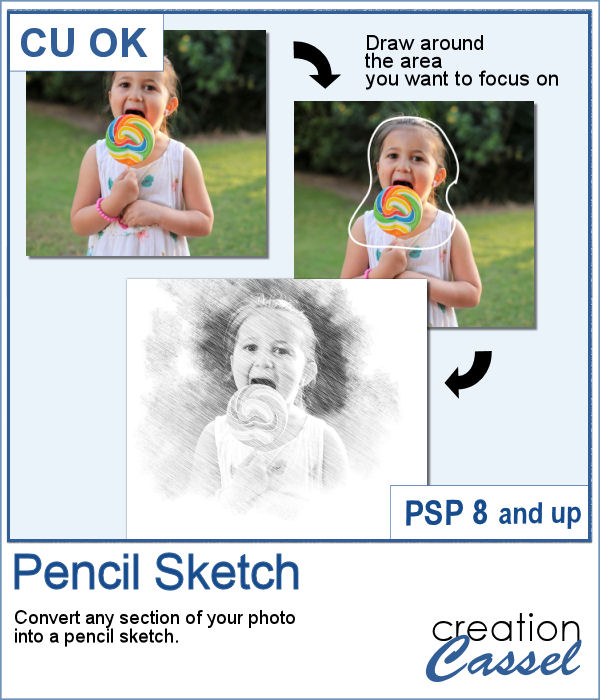 Pencil Sketch - PSP Script - Click Image to Close