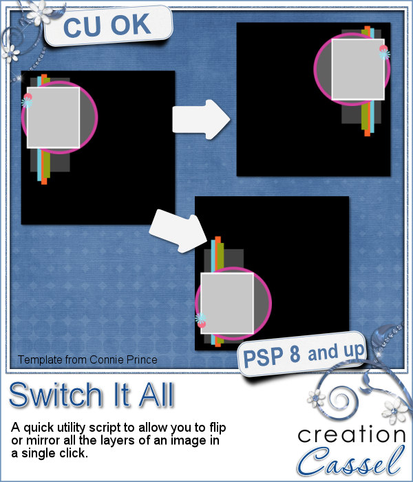 Miroir ou renversement - Script PSP - Cliquez sur l'image pour la fermer