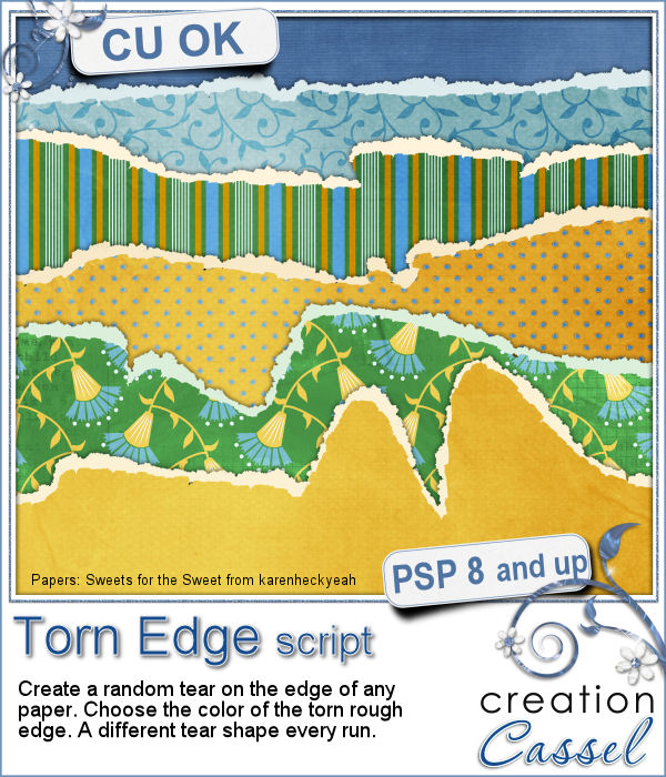 Torn Edge - PSP Script - Click Image to Close