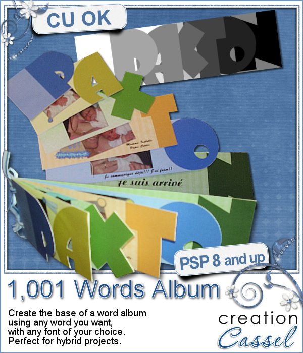 1,001 Words Album - PSP script