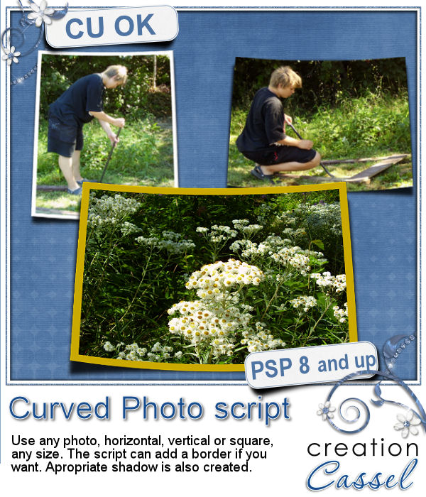 Curved photo - PSP script - Cliquez sur l'image pour la fermer