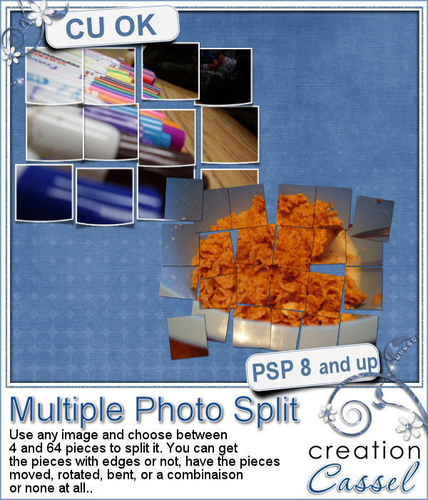 Multiple photo split - PSP script - Click Image to Close